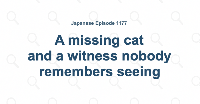 A missing cat and a witness nobody remembers seeing