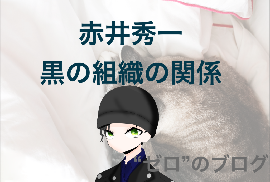 255円 在庫処分大特価 名探偵コナン 江戸川コナン 黒の組織 赤井