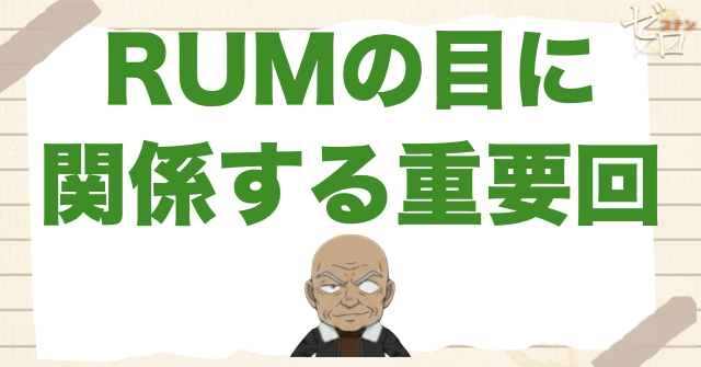 RUMの目に関係する重要回