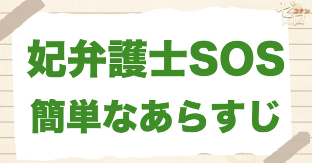 アニメ「妃弁護士SOS」のあらすじ